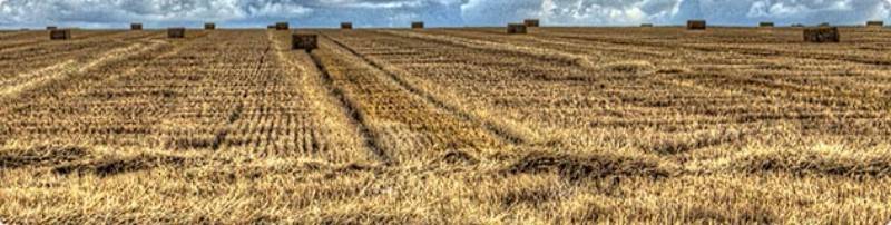 Agriculture CFD trading in UK